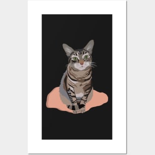 Tabby Cat Posters and Art